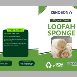Kenobon Loofah Sponge